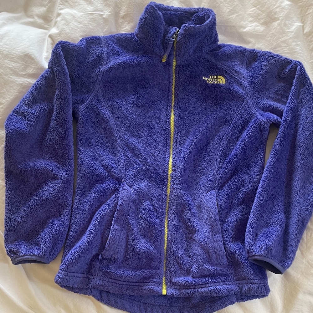 The North Face Vibrant Purple Fleece Jacket